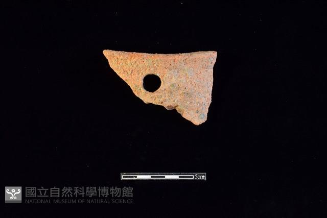 陶片藏品圖，第1張