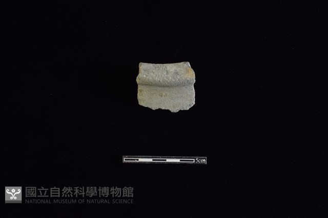 陶罐藏品圖，第1張