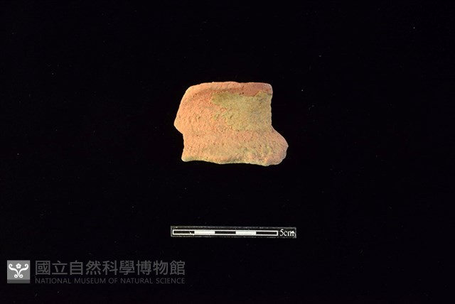 陶罐藏品圖，第1張