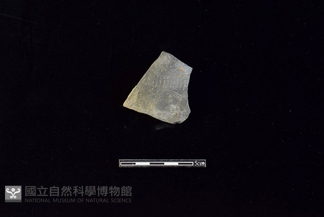 陶片藏品圖，第1張