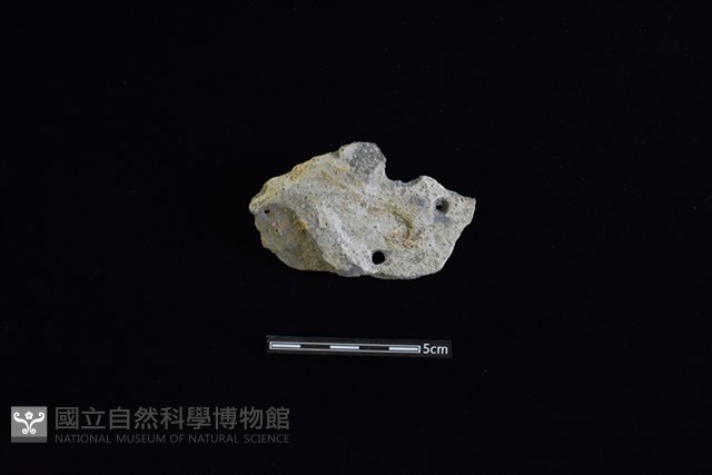 陶片藏品圖，第1張