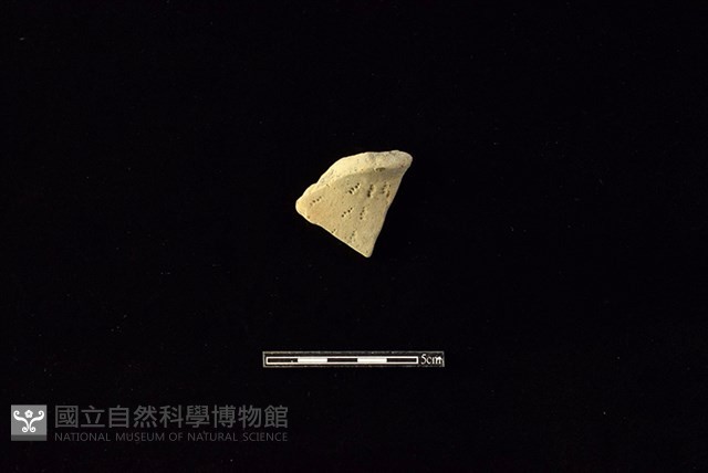 陶罐藏品圖，第1張