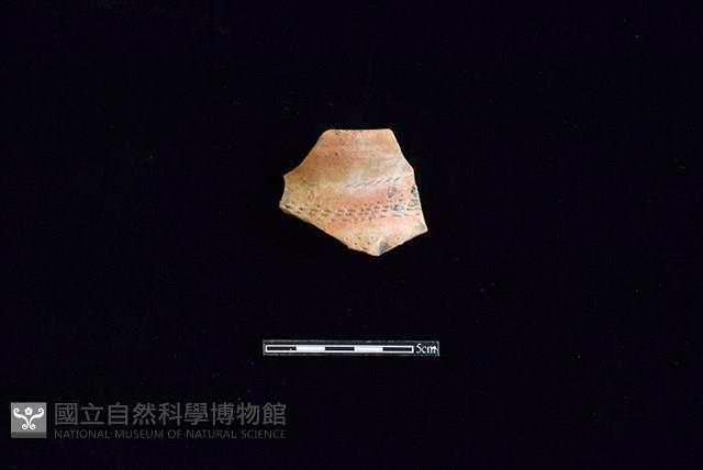 陶罐藏品圖，第1張