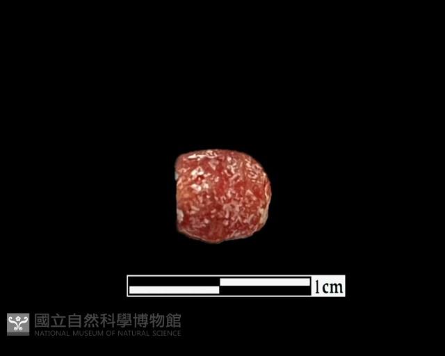 玻璃珠藏品圖，第1張