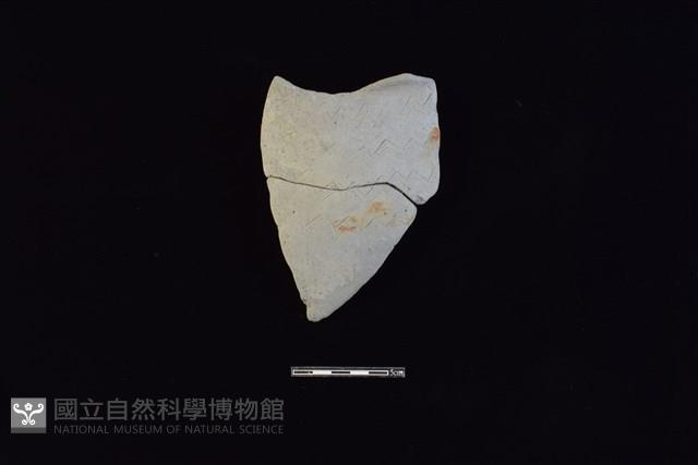 陶片藏品圖，第1張