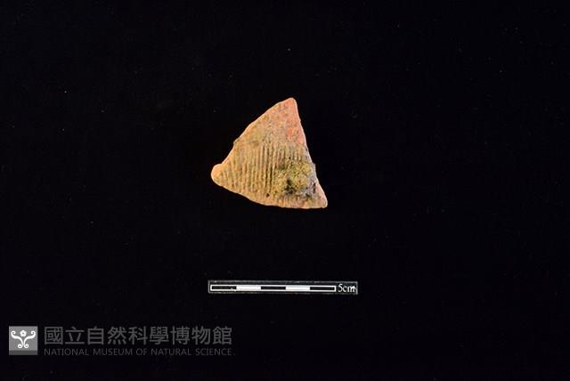 陶片藏品圖，第1張