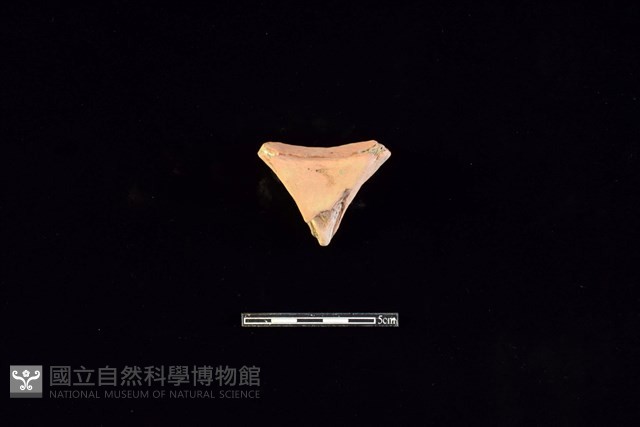 連杯形器藏品圖，第1張
