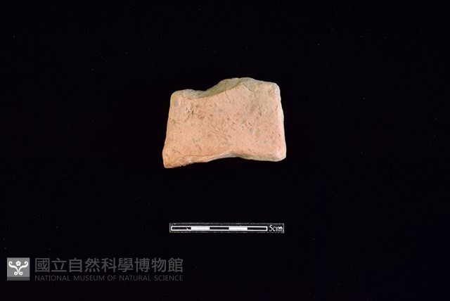 連杯形器藏品圖，第1張