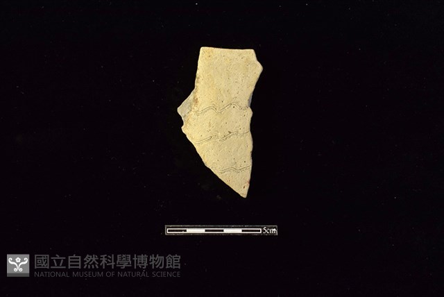陶片藏品圖，第1張