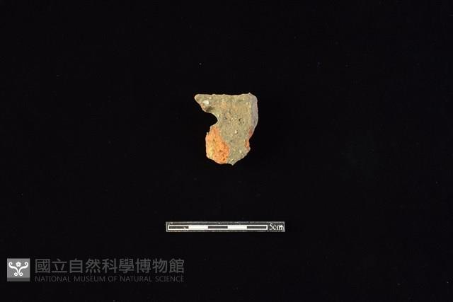 陶片藏品圖，第1張