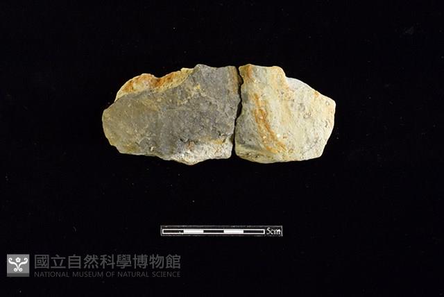 陶片藏品圖，第1張