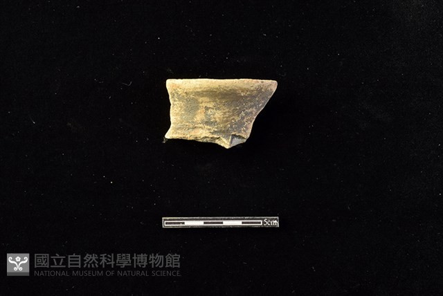 陶罐藏品圖，第1張
