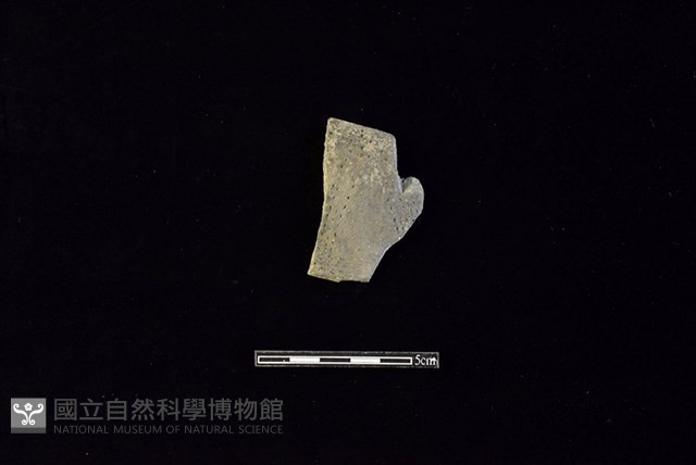 陶片藏品圖，第1張