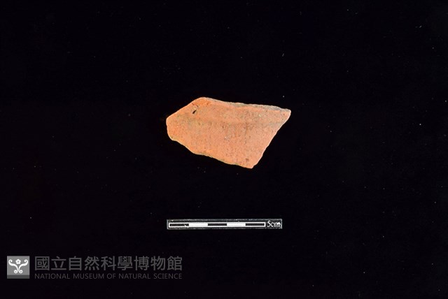 陶片藏品圖，第1張