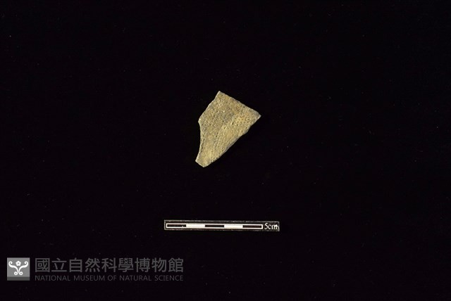 陶片藏品圖，第1張
