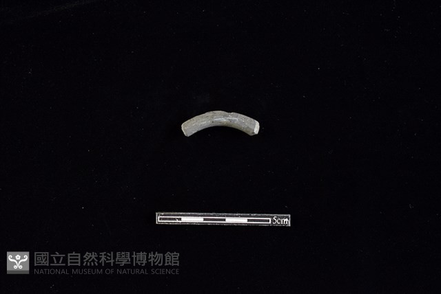 陶環藏品圖，第1張