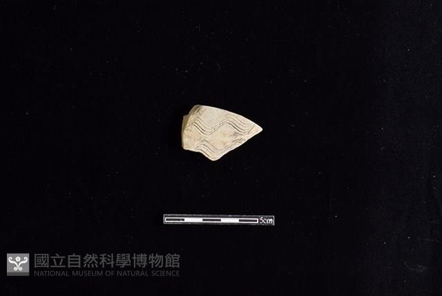 陶片藏品圖，第1張