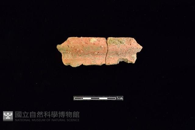 陶罐藏品圖，第1張