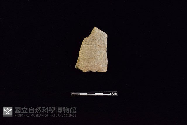 陶片藏品圖，第1張