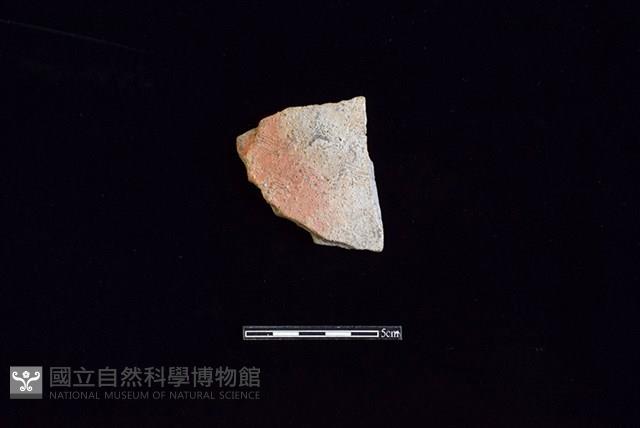 陶片藏品圖，第1張