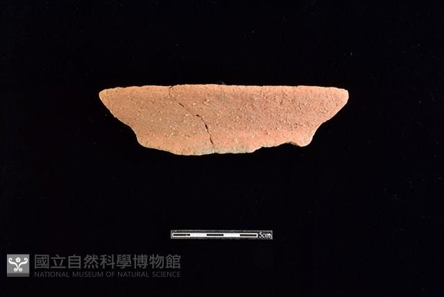 Accession Number:HLL-H PT0696 Collection Image, Figure 1, Total 2 Figures