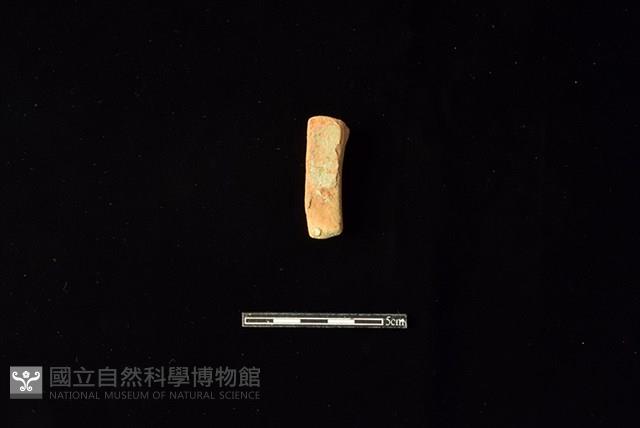 陶片藏品圖，第1張