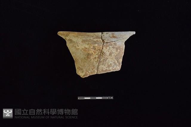 陶罐藏品圖，第1張