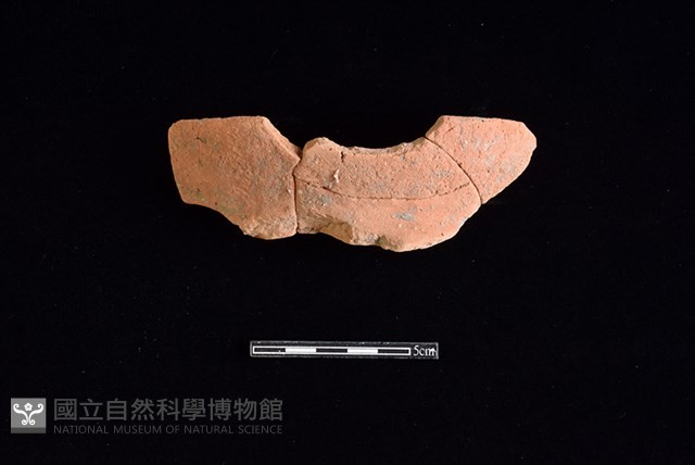 陶罐藏品圖，第1張