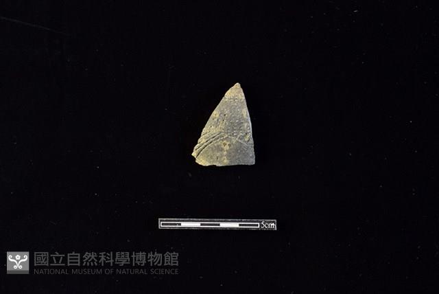 陶片藏品圖，第1張