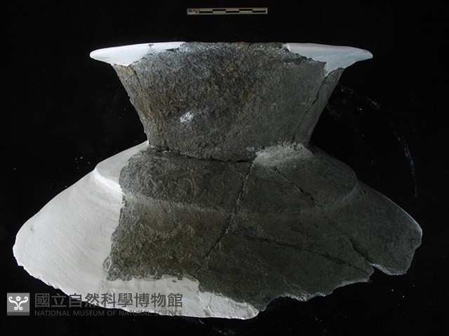 陶片藏品圖，第1張