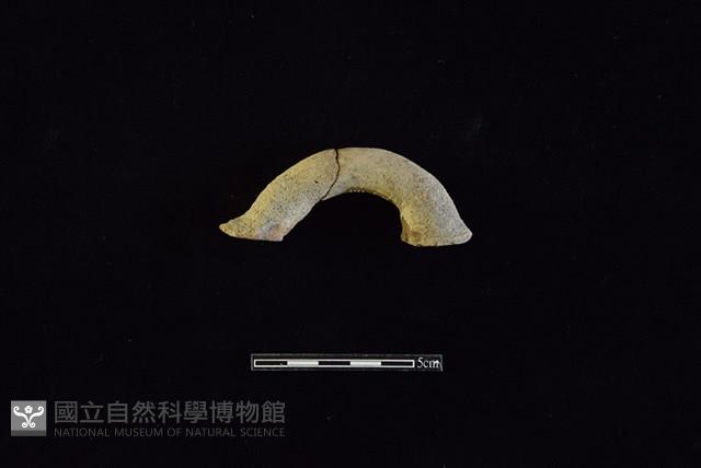 陶把藏品圖，第1張