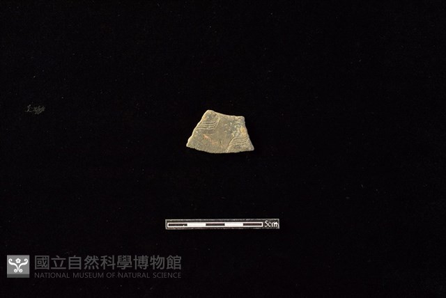 陶片藏品圖，第1張