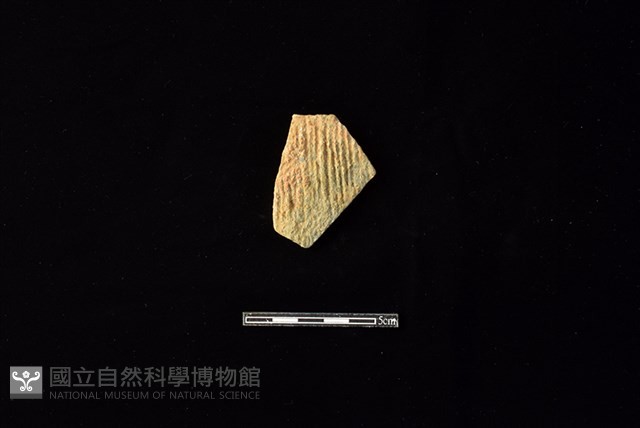 陶片藏品圖，第1張