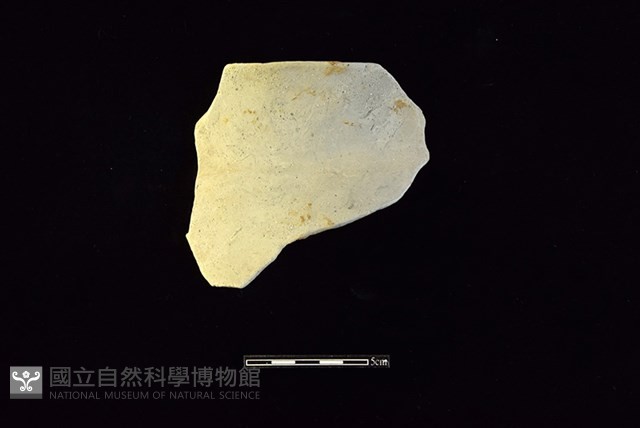 陶罐藏品圖，第1張