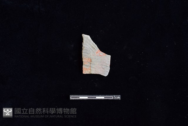 陶片藏品圖，第1張