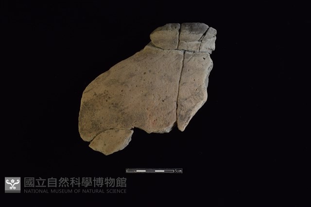 陶罐藏品圖，第1張