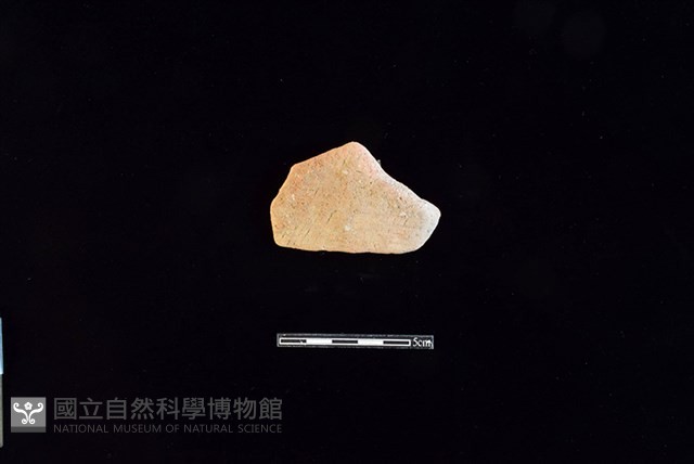 陶片藏品圖，第1張