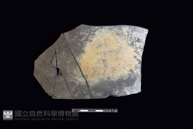 陶片藏品圖，第1張