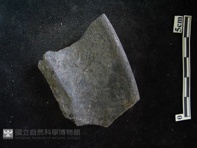 陶片藏品圖，第1張