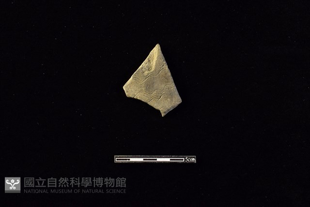 陶片藏品圖，第1張