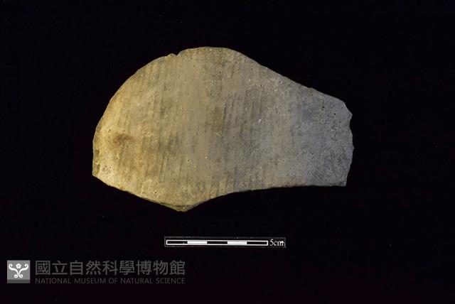 陶片藏品圖，第1張