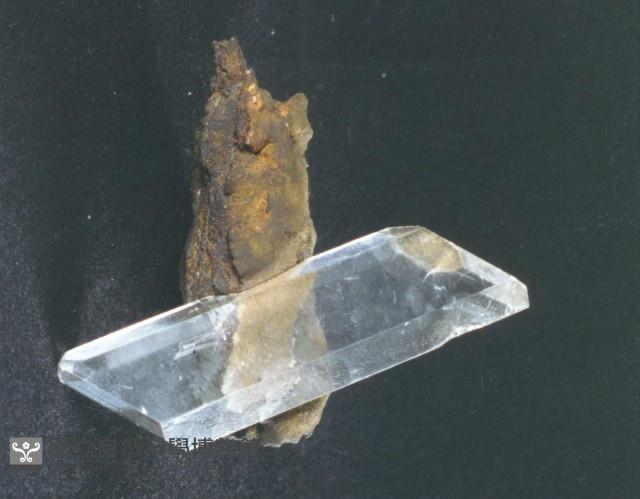 透石膏藏品圖，第3張