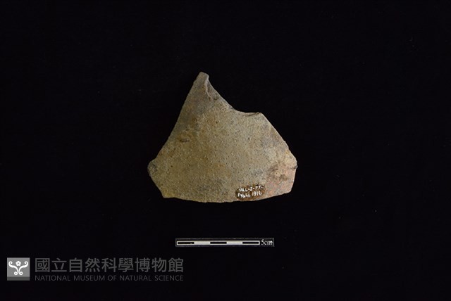 陶蓋鈕藏品圖，第1張