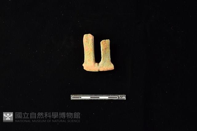 陶片藏品圖，第1張