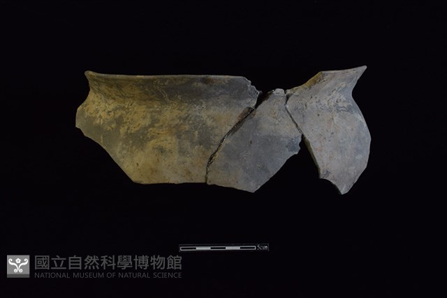 陶罐藏品圖，第1張