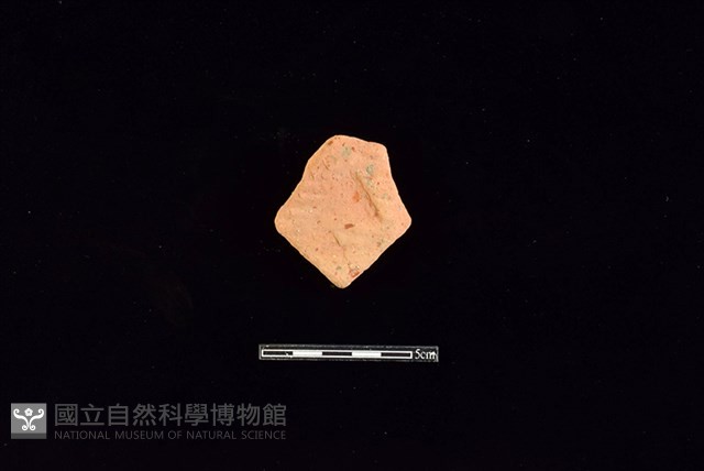 陶片藏品圖，第1張