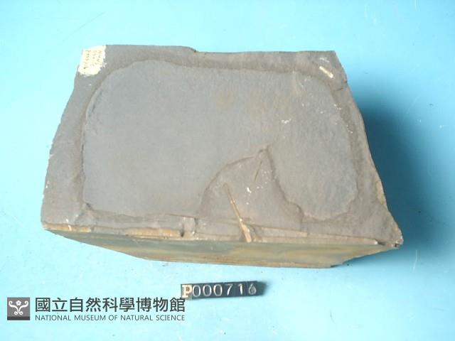粉砂岩藏品圖，第6張