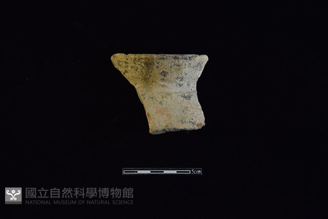陶罐藏品圖，第1張