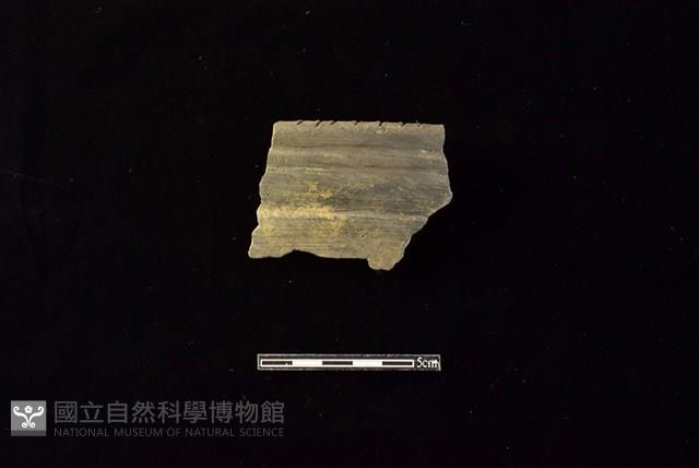 陶罐藏品圖，第1張