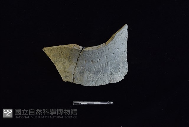 陶罐藏品圖，第1張